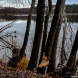 Hellsee | Barnim | Brandenburg | 2020