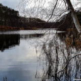 Hellsee | Barnim | Brandenburg | 2020