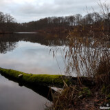 Hellsee | Barnim | Brandenburg | 2020