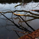 Hellsee | Barnim | Brandenburg | 2020