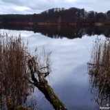 Hellsee | Barnim | Brandenburg | 2020